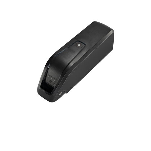 20AH Batterie (für Quercus/Sequoia/Pinus -Modell)