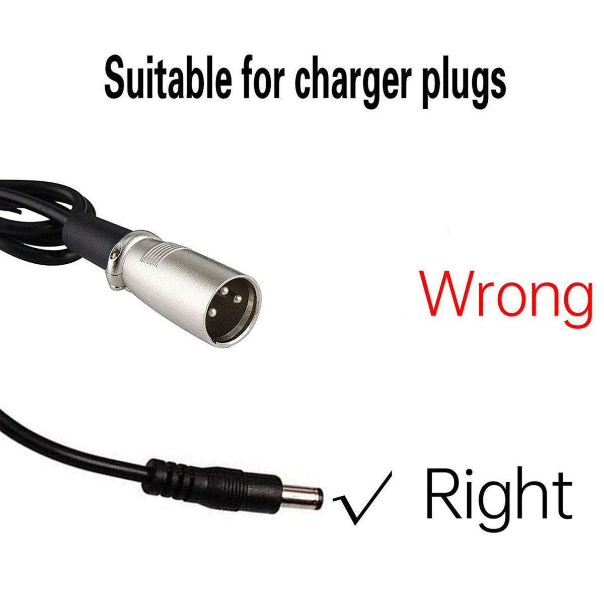 Chargeur de batterie Rattan 48V 2A/3A (avec connecteur DC)