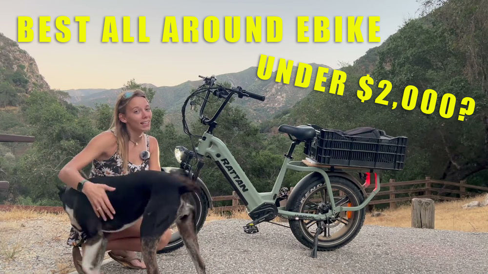 Il rattan Quercus è il meglio tutto intorno a ebike a meno di $ 2.000 ??