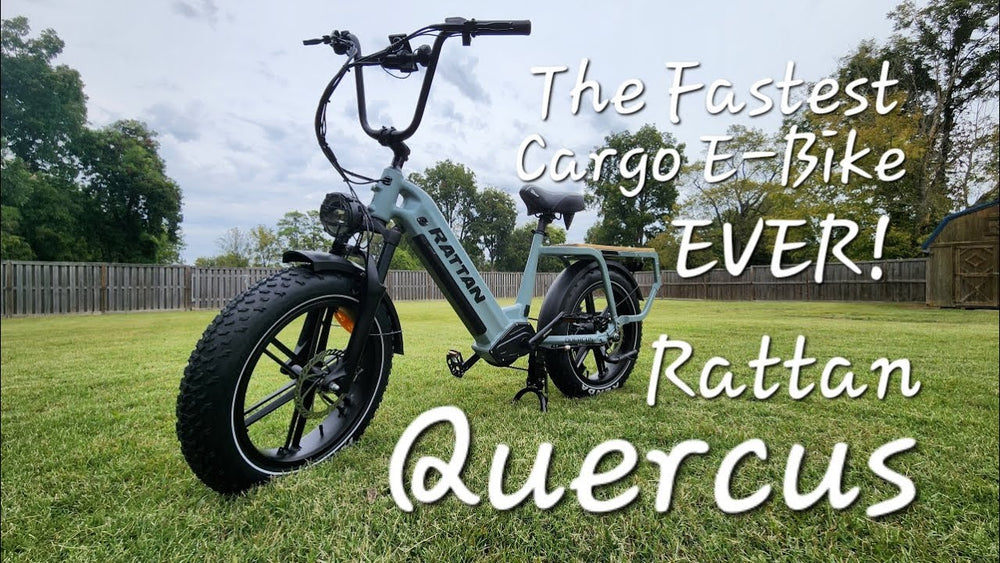 Revisione del rattan Quercus. Potente e veloce