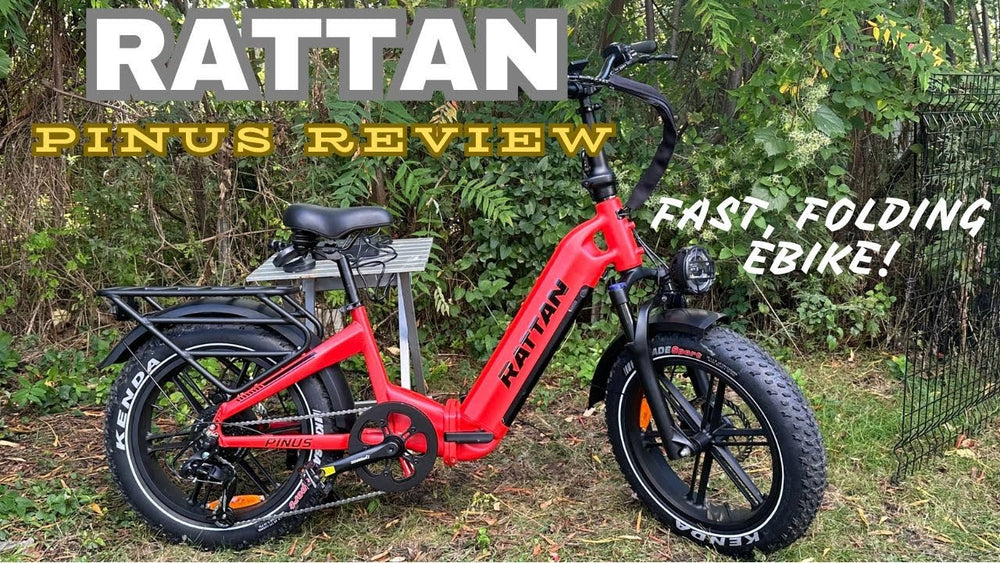 Rattan Pinus Review: Schnell, lustig und faltbar!